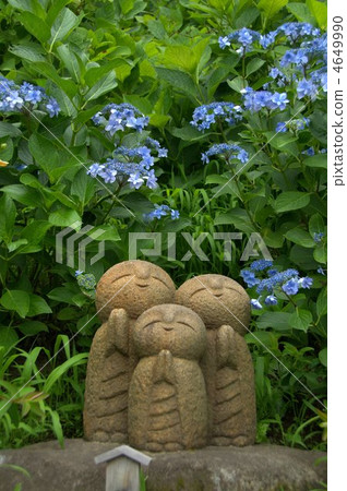 繡球花和Jizo Jizo 繡球花和Jizo Jizo 4649990