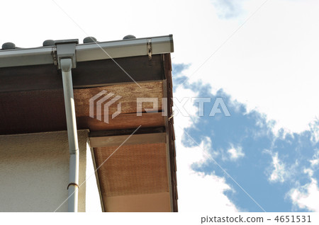 Old elephant 4651531