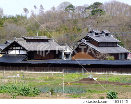 Kodama埼玉縣的高窗私人住宅 Kodama埼玉縣的高窗私人住宅 4651545