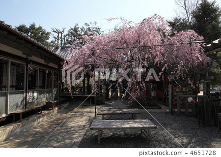 Spring fireworks Tianmangu 4651728