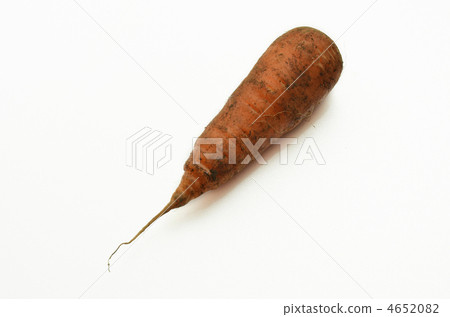 胡蘿蔔泥 4652082