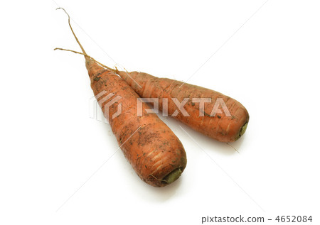 Carrots with mud Carrots with mud 4652084