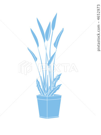 葉子植物 4652973