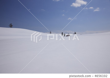 白雪皚皚 雪景 美瑛町 4656102