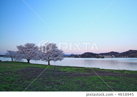 池塘 鹹水湖 日落 4658945