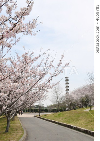Monument and cherry tree Monument and cherry tree 4659785