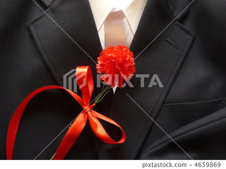 紅色康乃馨和學生穿 4659869