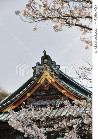 靜岡淺間神社大樓和櫻花 靜岡淺間神社大樓和櫻花 4660457