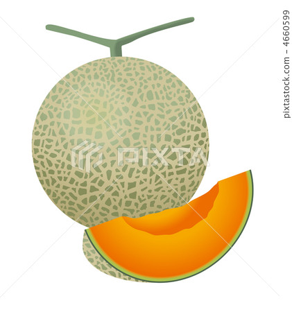 melon 4660599