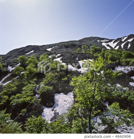 Yudonoyama的剩余雪 Yudonoyama的剩余雪 4660906
