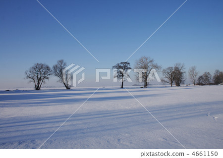 winter country 4661150