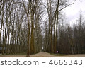 versailles, palace, historic structure 4665343