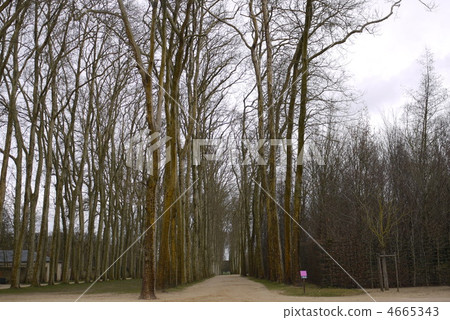 versailles, palace, historic structure 4665343