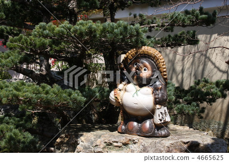 貉 貉屬 信樂瓷器 4665625