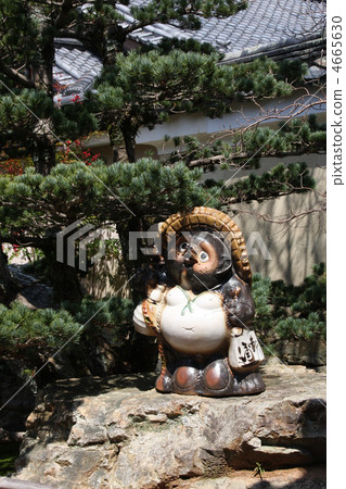 貉 貉屬 信樂瓷器 4665630