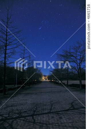 Sports road of Moonlight 4665716