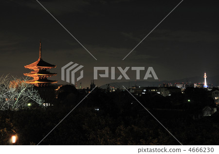 Tower of Yasaka 4666230