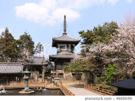 四國佛第一票佛山寺寺和佐倉 4666694