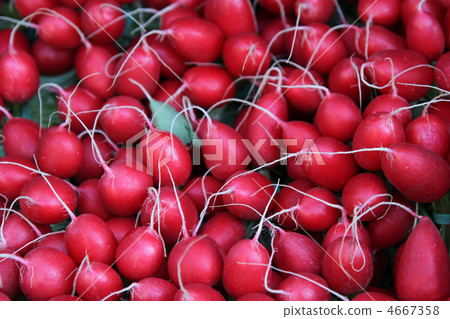 radish heaps radish heaps 4667358