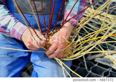 making traditional easter wicker basket making traditional easter wicker basket 4667372