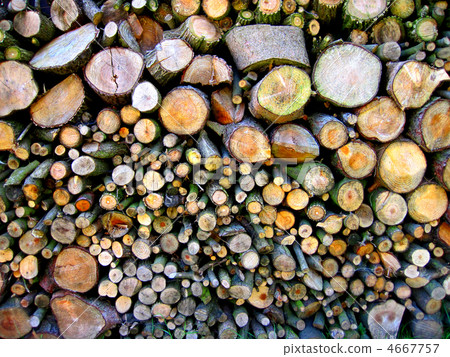 wood texture 4667757