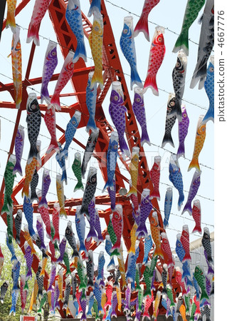 Carp streamer Carp streamer 4667776