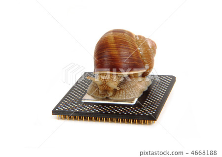snail isolated on the computer heart snail isolated on the computer heart 4668188