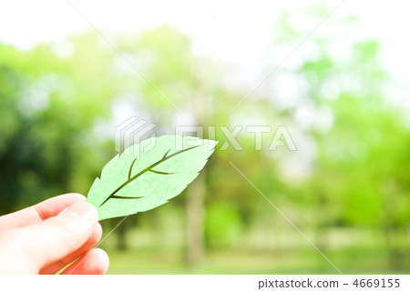 Paper leaf 4669155