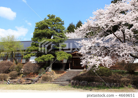 Third school building · Taisho school building, school, cherry blossoms 4669651