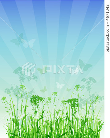 summer floral background summer floral background 4671342