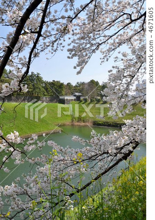 故宮的Hanzo護城河的春天 4671605