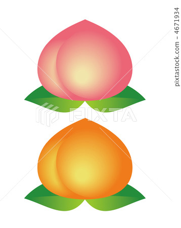 白桃和黃桃 4671934