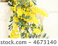 含羞草花*內部 4673140