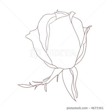 floral design element and hand-drawn , vector illustration 4673361