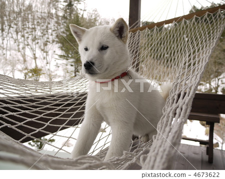 Hammock Hammock 4673622