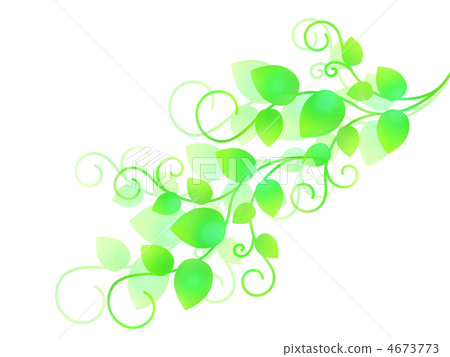 Vine plant Vine plant 4673773