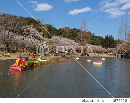 濱鬆在春天的花園·池塘周圍 濱鬆在春天的花園·池塘周圍 4673928