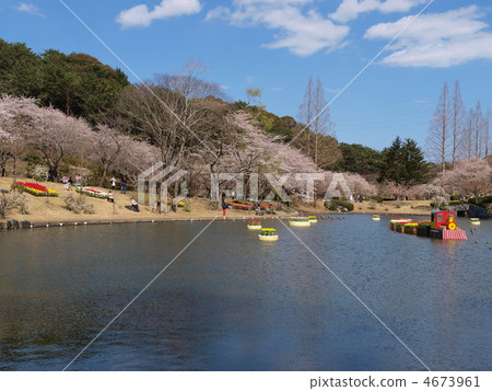 濱松花卉公園在春天 濱松花卉公園在春天 4673961