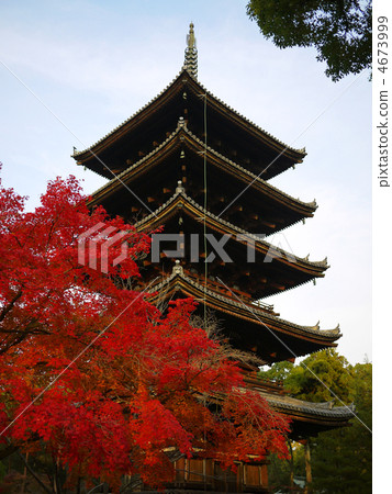 Kyoto World Heritage Omuro Ninnaji Temple Five Story Tower Fall 4673999