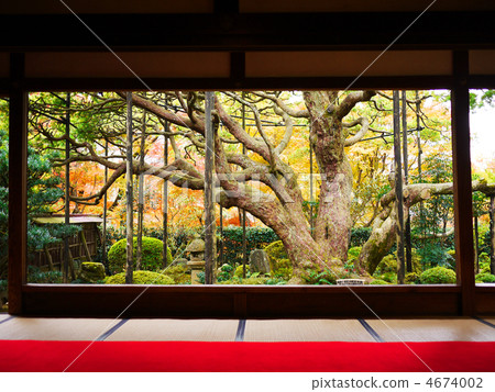 Kyoto Ohara Houston Azuma Framed Garden Board Gyuan Gobo Matsu Kyoto Ohara Houston Azuma Framed Garden Board Gyuan Gobo Matsu 4674002