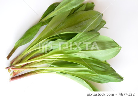 Granger garlic 4674122