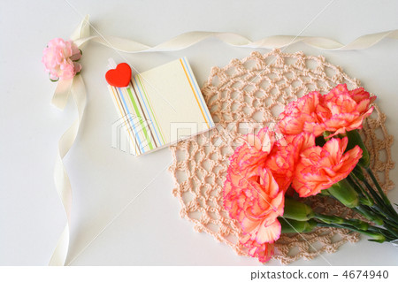 Carnation Carnation 4674940