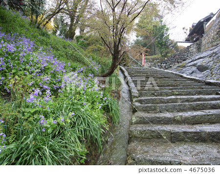 Kanonji Temple stone steps 4675036