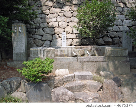 Sugoko Stamen Rock 4675374