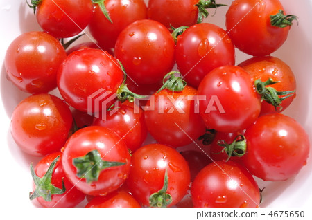  Mini Tomato 4675650