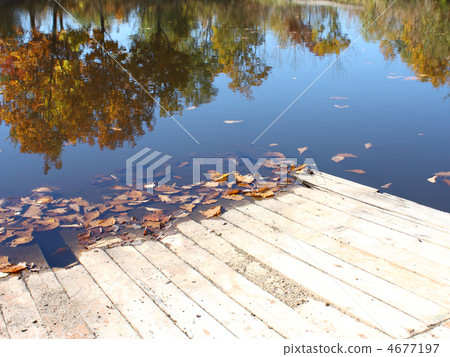 Coast of lake in the mellow autumn 4677197