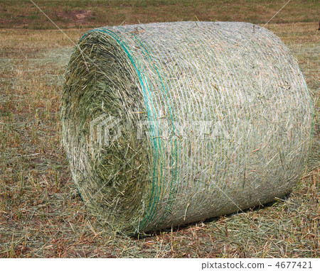 harvested field with hay in summer harvested field with hay in summer 4677421