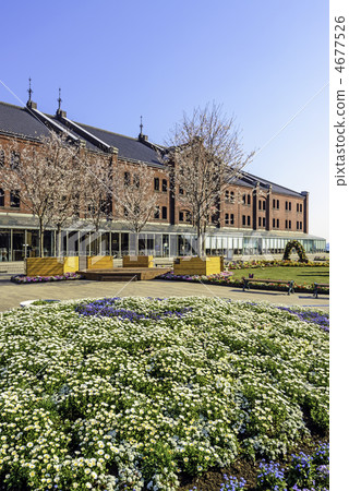 橫濱紅磚倉庫花白鳳 4677526