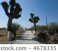Tula ruins 4678335