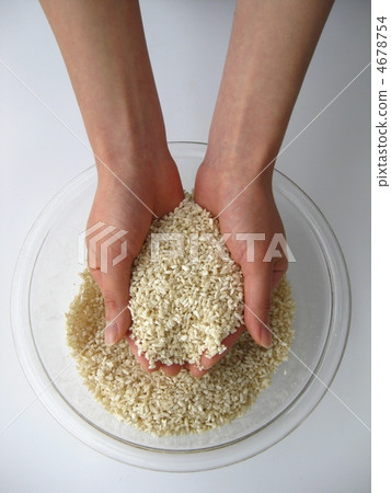 Make salt koji, soy sauce koji Make salt koji, soy sauce koji 4678754